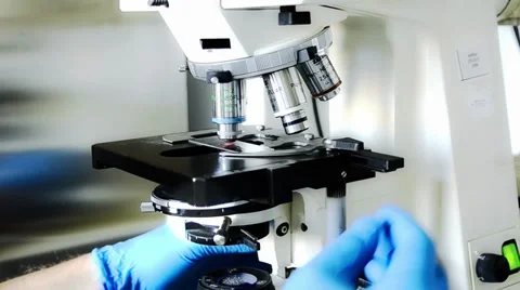 Close up of a microscope in a medical laboratory Stock Footage 32454130