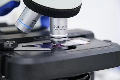 Close up of microscope slide in a microscope lens. Stock Photos