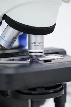 Close up of microscope slide in a microscope lens. Stock Photos
