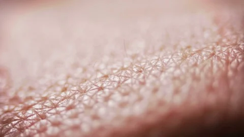 Close up microscope view skin Stock Footage 71393903