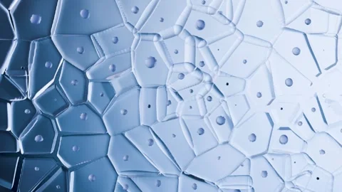 Close-up microscopic view of biological cells with polygonal structure Stock Footage 317296559