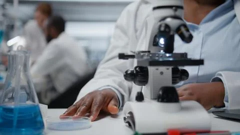 Close up of microscopist studying genetic tissue sample on petri dish Stock Photos