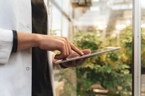 Close up midsection of agronomy scientist analyzing plant health using tablet Stock Photos