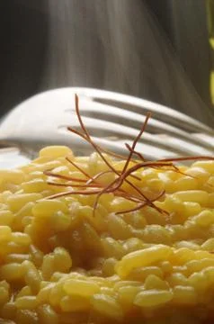 Close up of Milanese risotto with saffron Stock Photos
