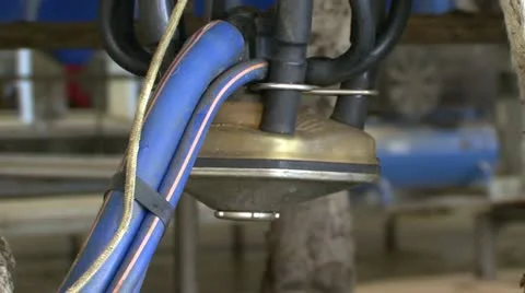 Close up milking pump Video stock 11265742