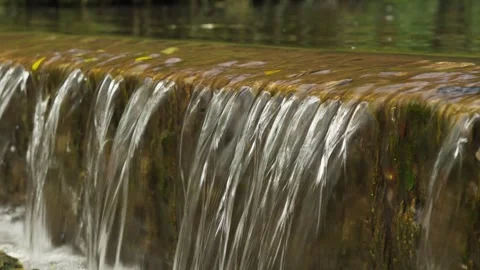 Close up of Mini waterfall from pond with Ducks swimming Stock Footage 338033395