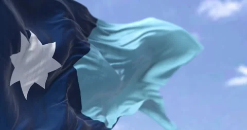 Close-up of Minnesota new state flag waving with the american flag on a cle.. Stock Footage 300287477