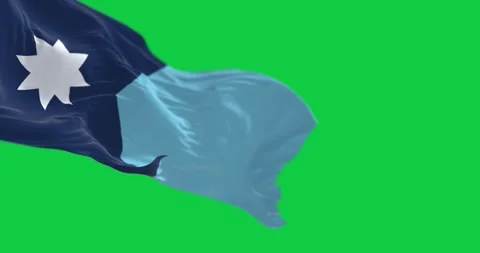 Close-up of Minnesota new state flag waving isolated on green background Video stock 303674055