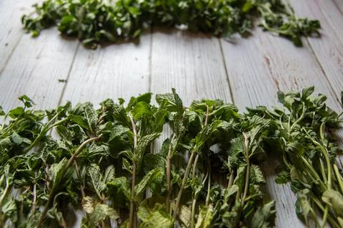 Close up of mint leaves on a background Stock Photos