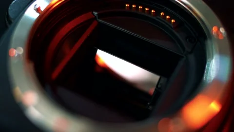 Close-up of the mirror and matrix of a professional camera. 動画素材 145482053