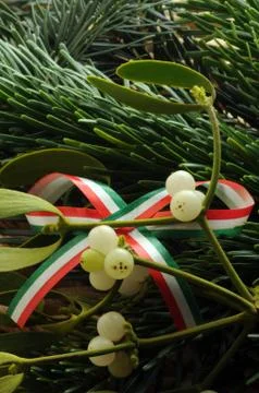 Close up of a mistletoe branch with flag Stock Photos