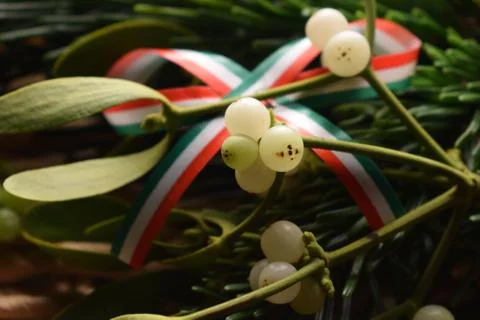 Close up of a mistletoe branch with flag Stock Photos