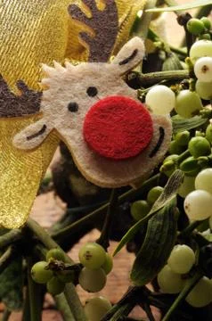 Close up of a mistletoe branch Stock Photos