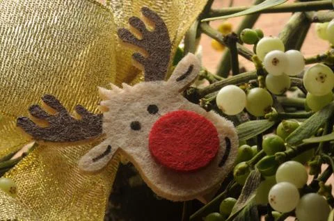 Close up of a mistletoe branch Stock Photos
