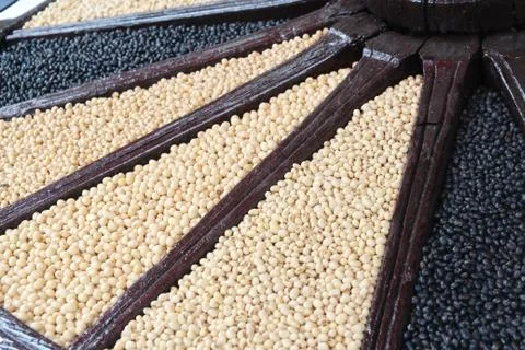 Close up mix soybean background Stock-Fotos