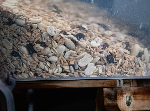Close-up of Mixed Bird Seed and Peanuts in a Plastic Container Stock Photos