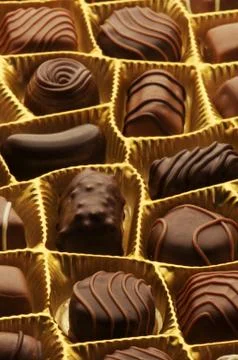 Close up on mixed chocolates. Stock Photos