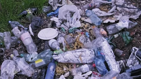 Close Up of Mixed Garbage and Plastic Waste on Forest Ground Stock Footage 323315706