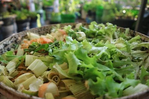 Close up of mixed vegetable scraps and lemongrass for organic composting. Fotos de archivo