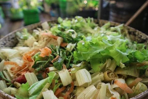 Close up of mixed vegetable scraps and lemongrass for organic composting. Stock-Fotos