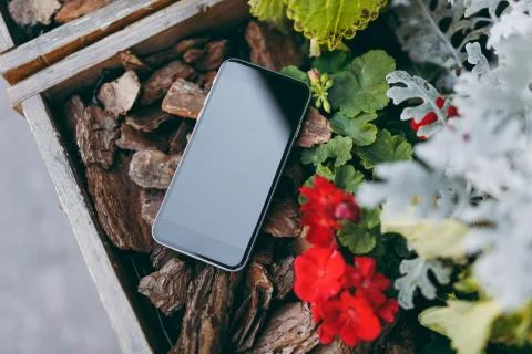 Close up mobile phone with blank empty screen on pieces of brown wood red Stock Photos