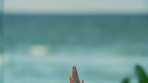 Close-up of mocktail and appetizer set on table Stock Footage 57814593