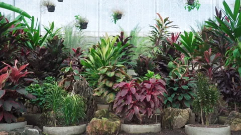 Close up Model Garden 50fps Stock-Footage 242744404