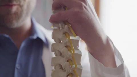 Close up of a Model Spinal Cord as a Chiropractor Explains Vertebrae Functions Video stock 208758723