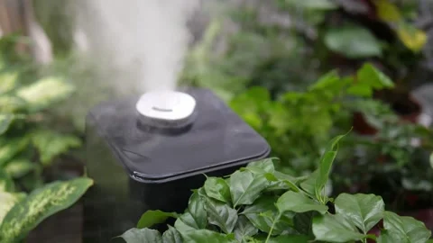 Close-up of a modern air humidifier producing cool among lush indoor plants. Stock Footage 341293857