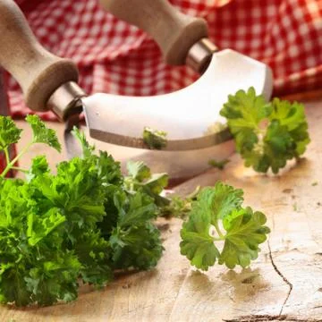 Close up of a modern herb cutter Stock Photos