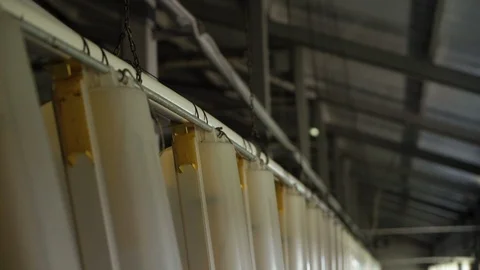 Close-up of modern pig insemination system is on empty pig farm 스톡 동영상 98107150