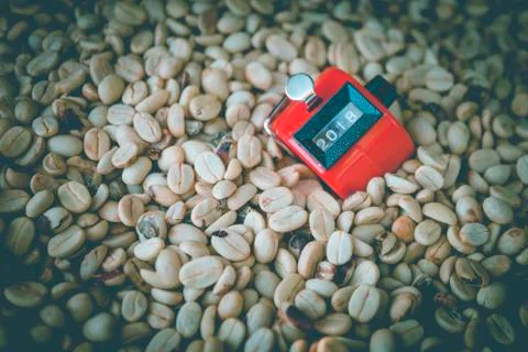 Close up module or digital count on unroasted coffee beans 스톡 사진