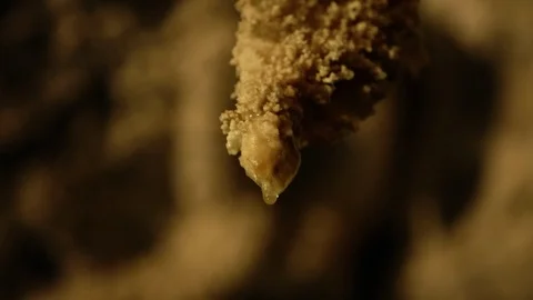 Close up moisture dripping in yellow cave New Zealand Stock Footage 90314859