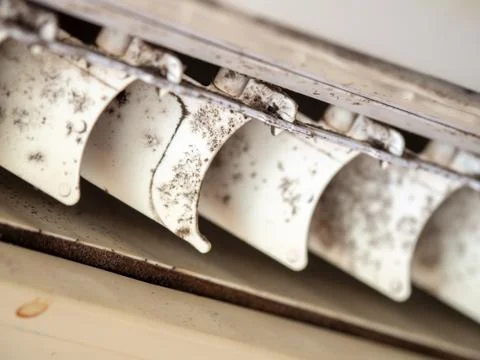 Close up mold in air conditioner system. Danger and the cause of pneumonia an Stock Photos