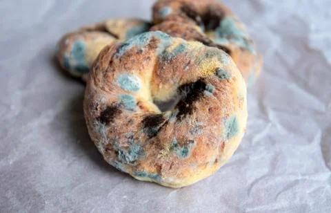 Close-up Mold on the Bread, moldy Bread on white crumpled paper Stock-Fotos