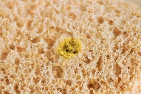 Close up mold on bread Stock Photos
