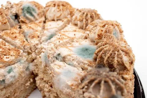 Close up of Mold growing on cake. Stock-Fotos