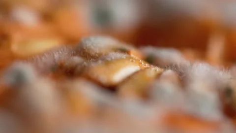 Close-up of mold growing on melon seeds, showing fungus spores and decay in Vidéo 316878815