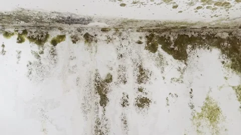 Close-up of mold texture on wall surface Video stock 333305302