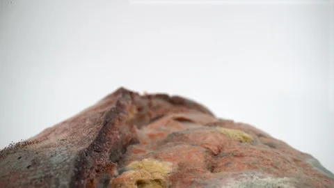 Close up of moldy bread on isolated white background Stock Footage 325805380