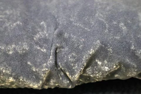 Close-up of a moldy down jacket. Stock Photos