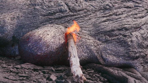 Close-up of molten lava engulfing a fallen branch at Kīlauea Volcano, Hawaii Stock Footage 336846392
