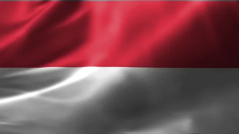 Close-up of the Monaco flag waving in the wind. Monaco national flag waving 4K.  Stock Footage 245183695