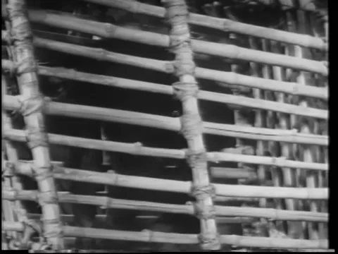 Close-up monkey in bamboo cage 動画素材 260248969