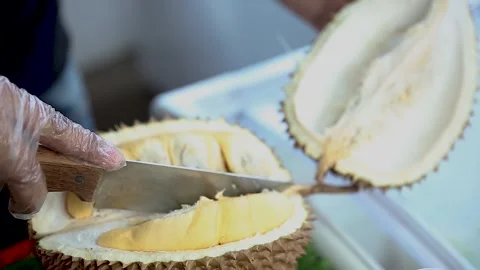 Close-up of a montong durian using a knife Video stock 265934573