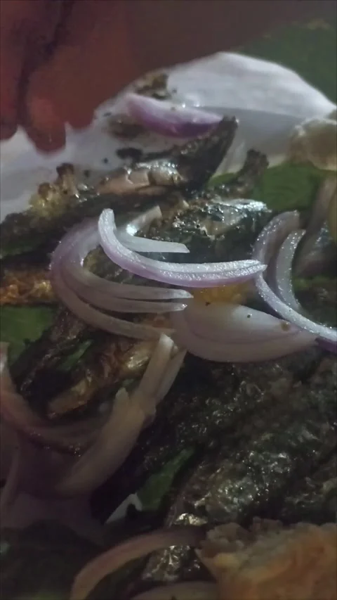 Close Up of Moroccan Sardines Grilling over Charcoal Stock Footage 342337795