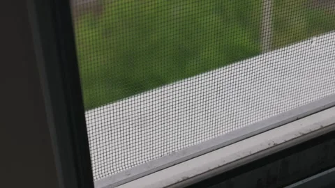 Close Up of Mosquito Net Mesh Installed on White Residential Window Frame Stock Footage 334735680