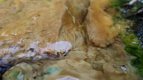 Close Up of Moss Algae and Flowing Water on a Natural Surface Vídeos de archivo 342688959