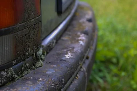 Close up moss on a back bar of an old car. Stock Photos