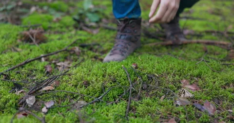 Close-up on moss, branches, forest litter, a man walking leans with basket close Stock Footage 169557961